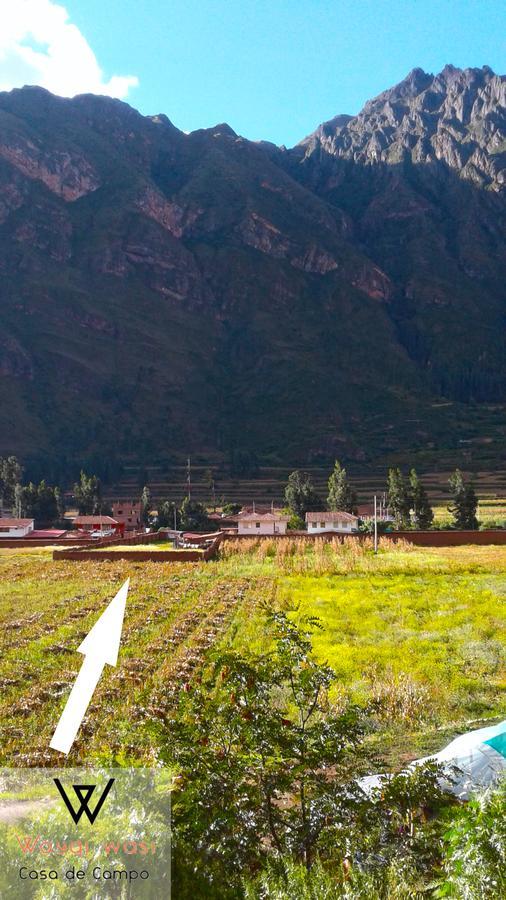 Wayqi Wasi Casa de hóspedes Pisac Exterior foto