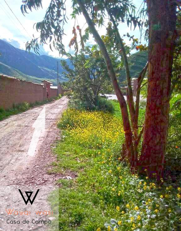 Wayqi Wasi Casa de hóspedes Pisac Exterior foto